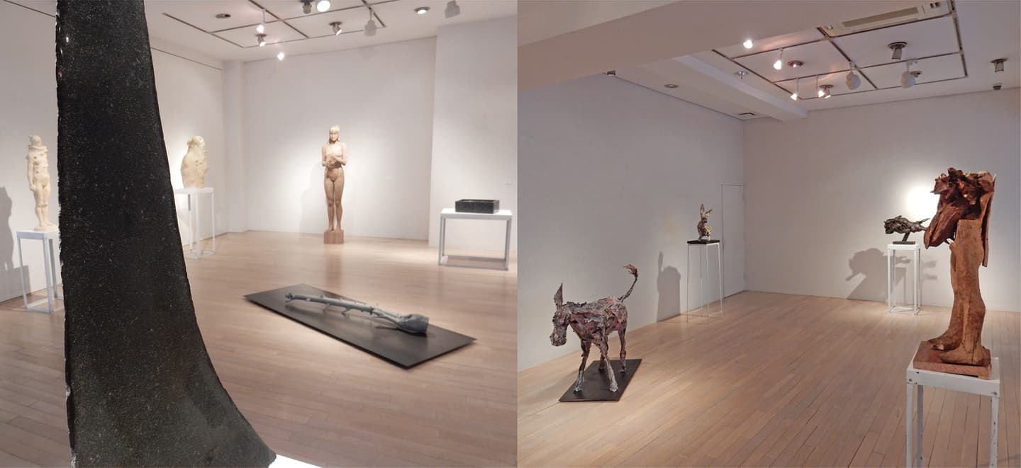 岩間 弘 展　Hiroshi   IWAMA